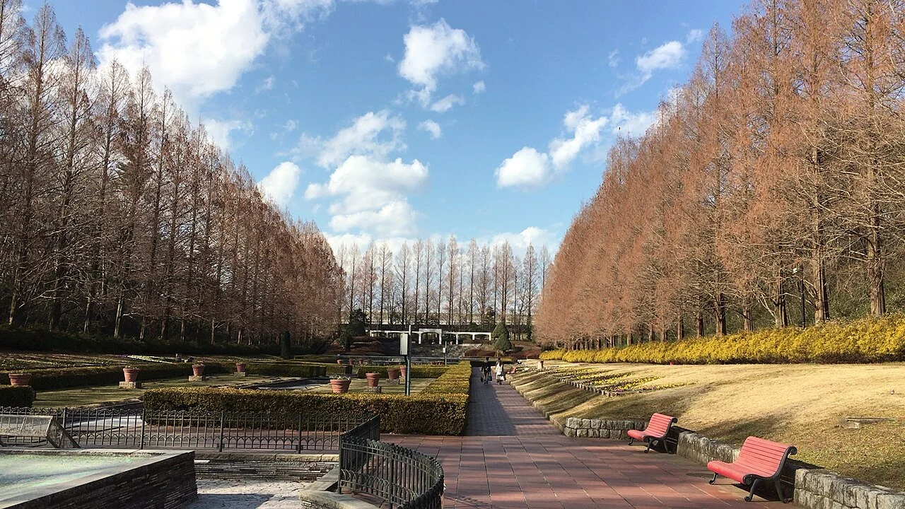 県立相模原公園の並木と園路